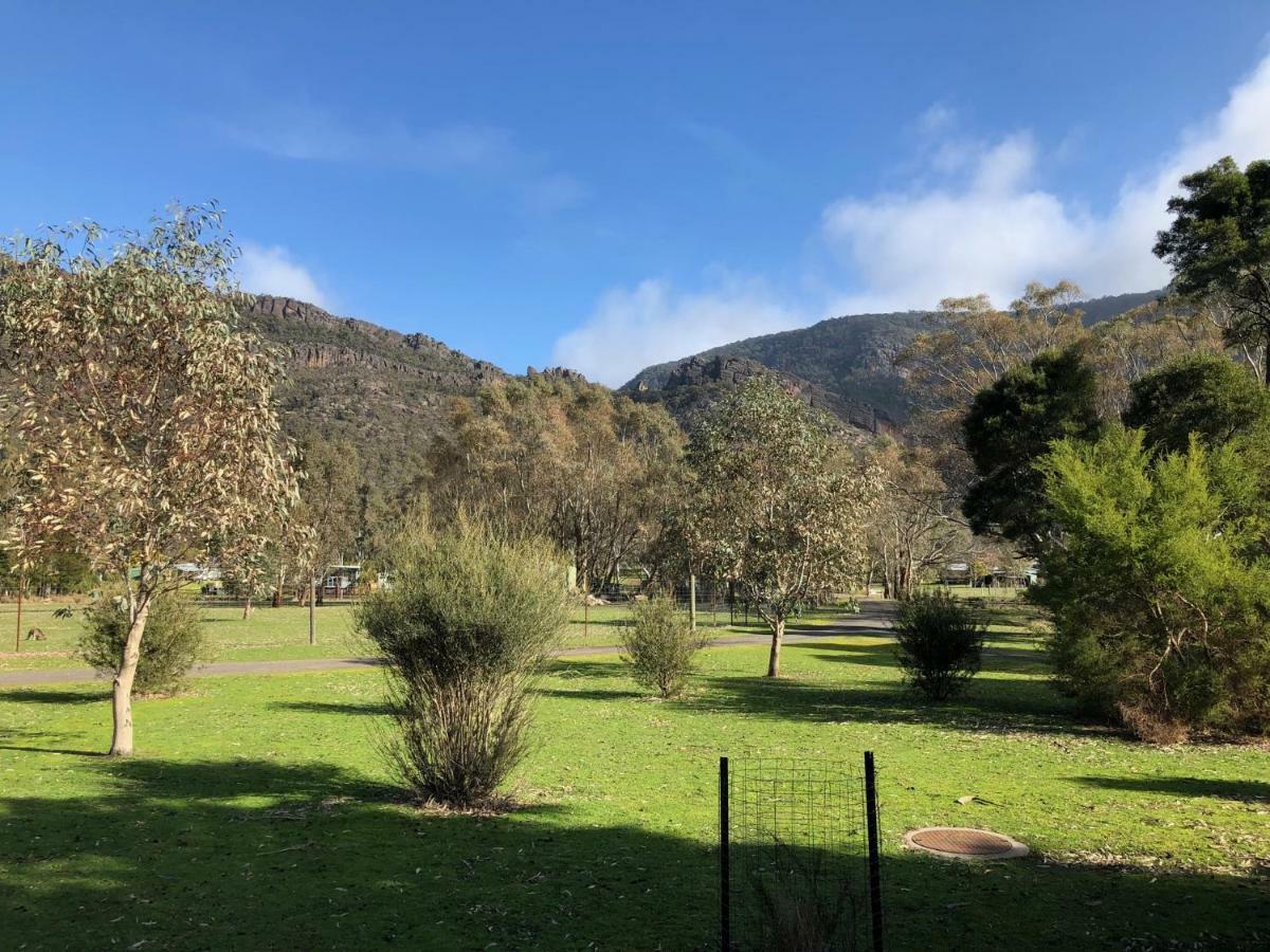 Bushland * Halls Gap