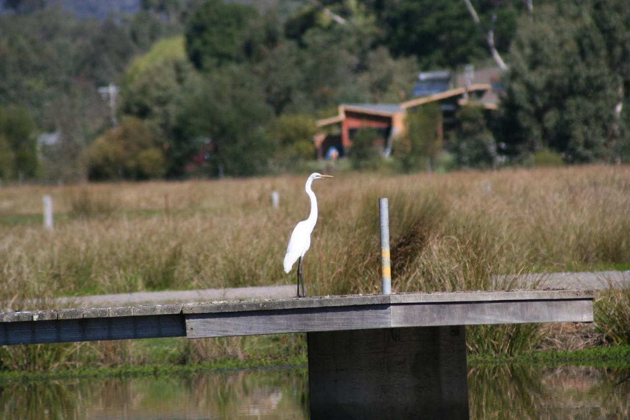 Bushland * Halls Gap