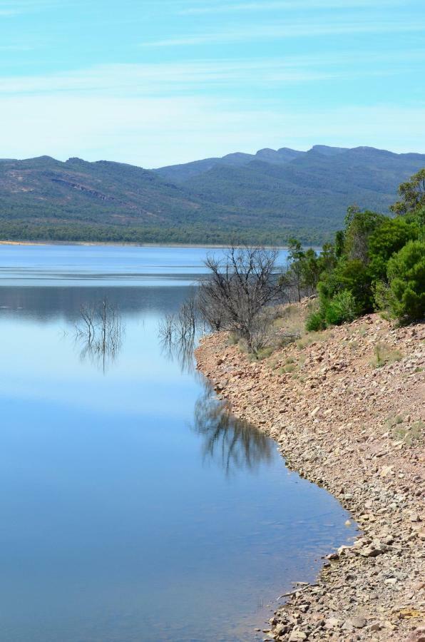 Bushland Halls Gap